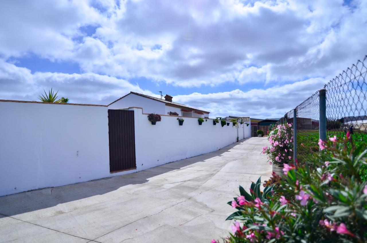 Villa Casa Manoli à Conil De La Frontera Extérieur photo