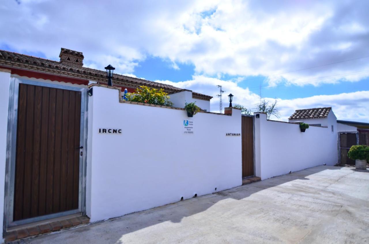 Villa Casa Manoli à Conil De La Frontera Extérieur photo